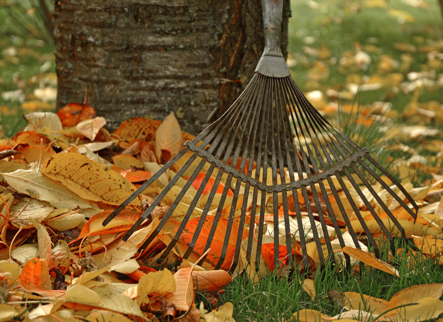 10 Fall Home Maintenance Tasks For Every Homeowner